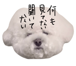 77260119