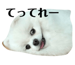 77260127