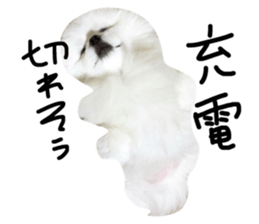 77260132