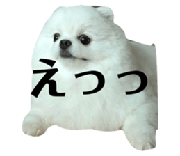 77260134