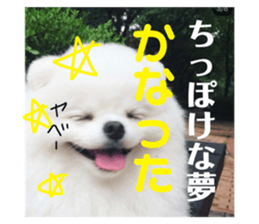 77260137