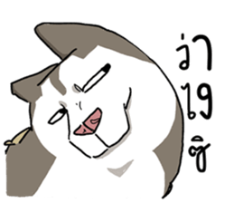 772606350
