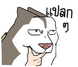 772606372