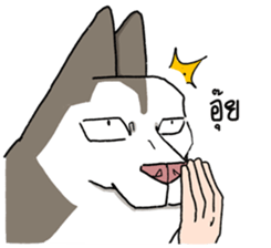 772606373