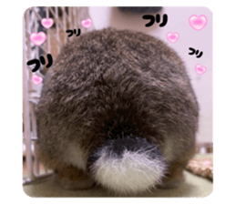 772615160