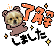 772616125