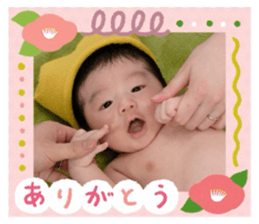 772619191