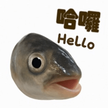 772623217