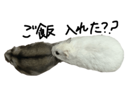 772625976