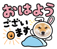 772627131