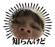 772636538