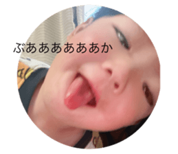 772637527