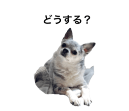 772642056