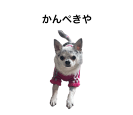 772642062