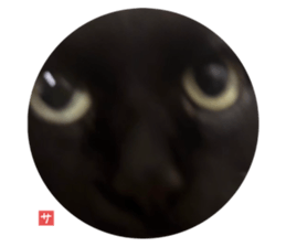772642493