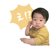 772644504