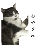 772646485