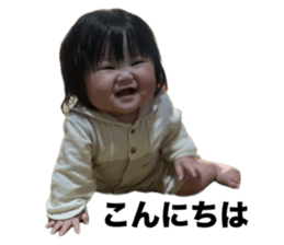 772646580