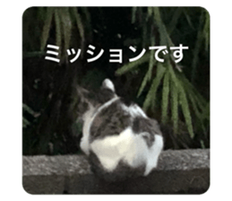 772647820