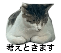 772647824
