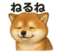 772651766