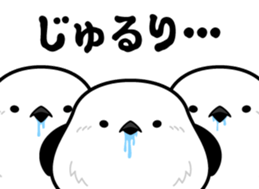 772652620