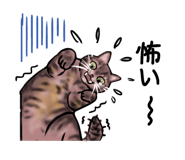 772656533