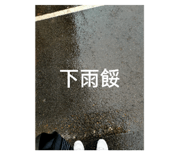772663419