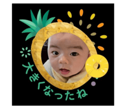 772665116