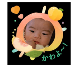 772665119