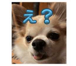 772665619
