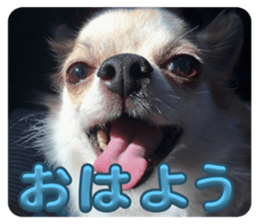 772665623