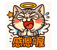 772667239