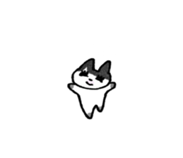 772667516