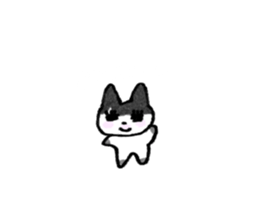 772667527