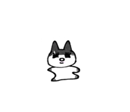 772667531
