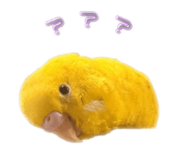 772668442