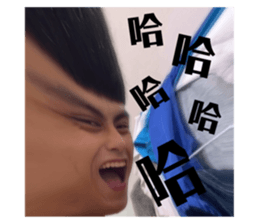 772672648