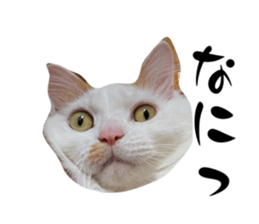 772686609