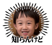 772687209