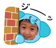 772687214