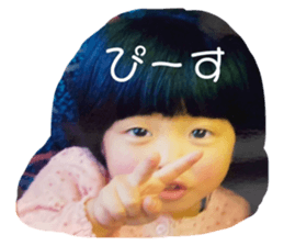 772688044