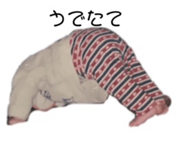 772688052