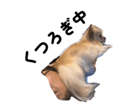 772689703