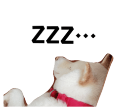 772690800