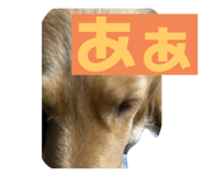 772691876