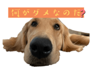 772691879
