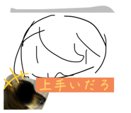 772691884