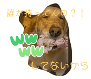 772691886