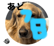 772691899